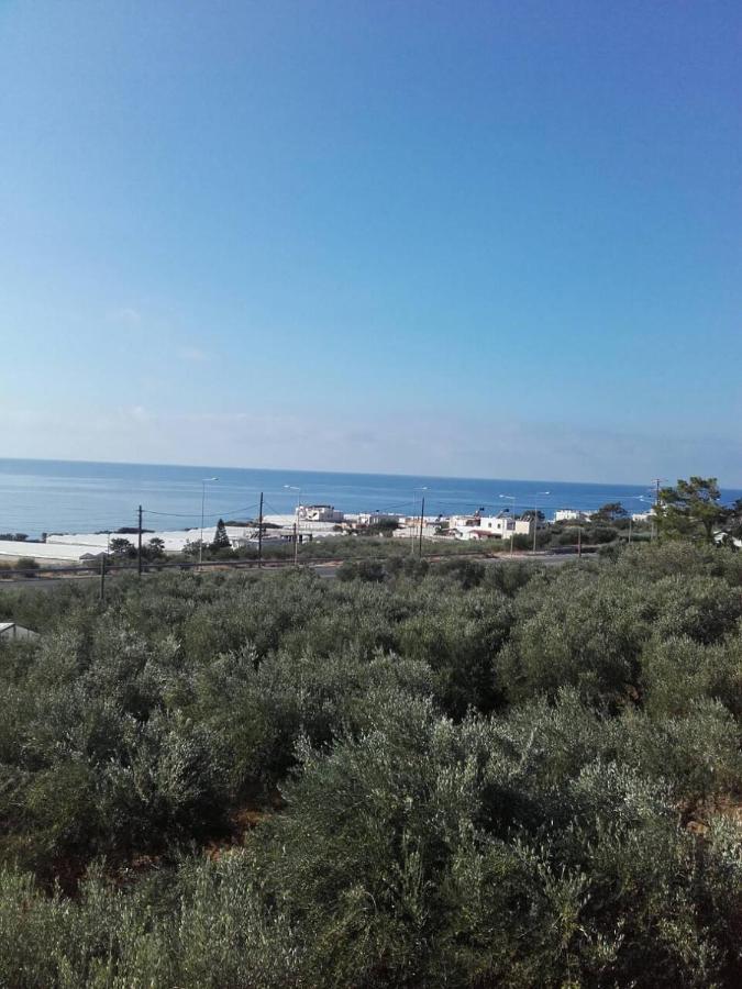 Pericles Traditional Cretan Home Stavrokhorion Zewnętrze zdjęcie